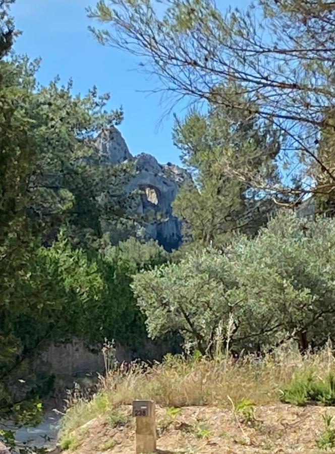 Villa Mas de la Cadenière Saint-Rémy-de-Provence Esterno foto