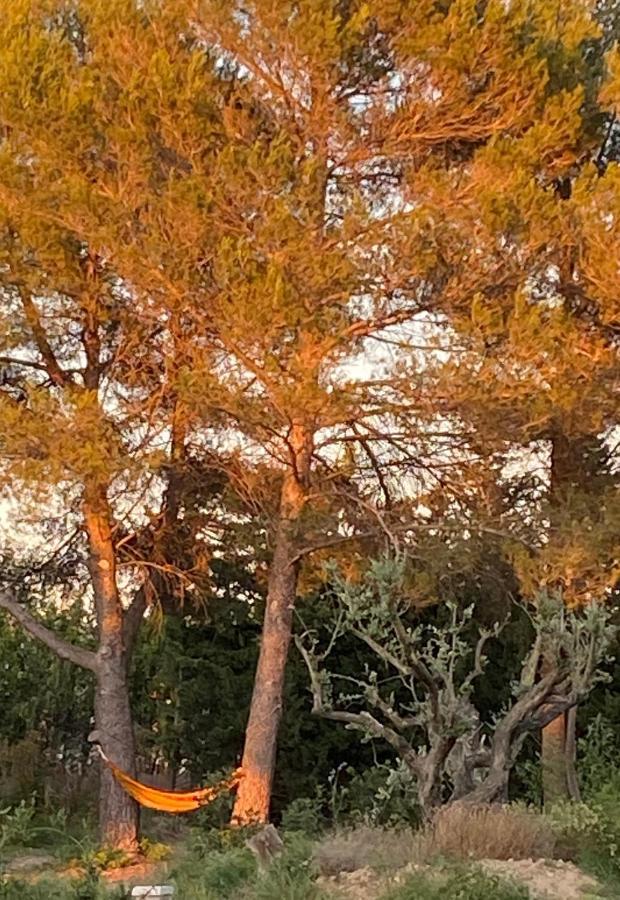 Villa Mas de la Cadenière Saint-Rémy-de-Provence Esterno foto